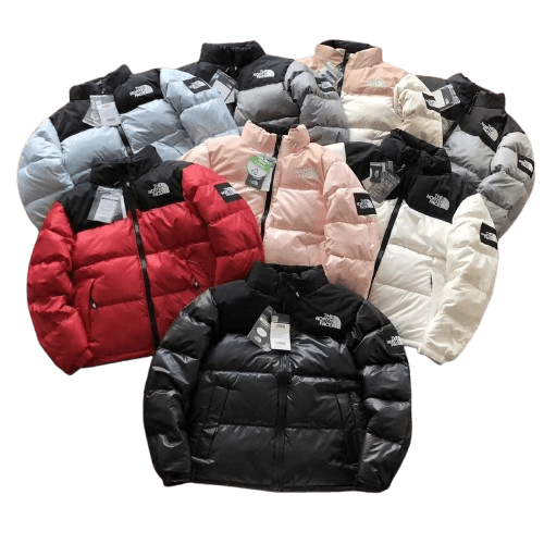 North Face Down Jacket (5+ Styles)