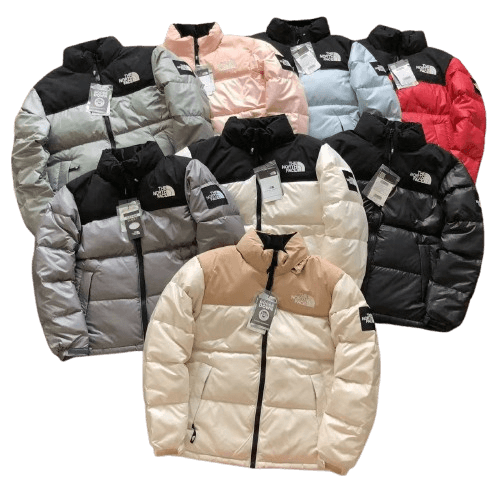 North Face Down Jacket (5+ Styles)