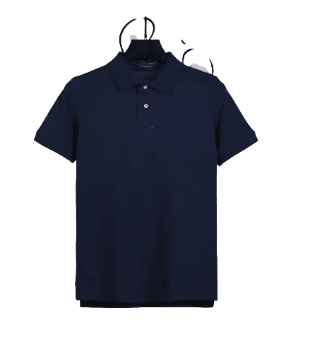 Ralph Lauren Shirt (10 Colorways)