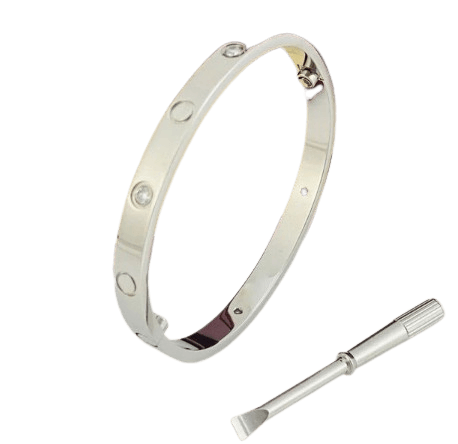 Cartier Love Bracelets ( 6+ Colourways )