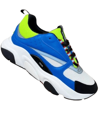 Dior B22's (15+ Styles)