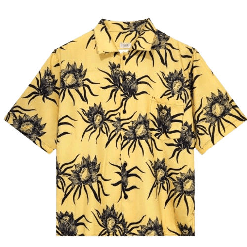 Celine Shirt ( 2 Colorways )
