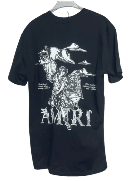 Amiri T-Shirt (2 Colorways)