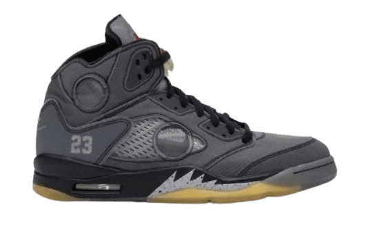 Jordan 5 (10 Colorways)