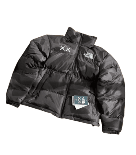 North Face x Kaws Down Jacket