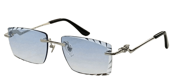 Cartier Glasses (7 Styles)