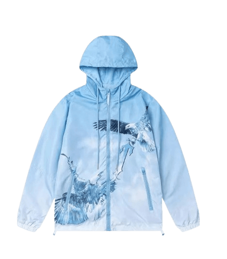 Trapstar Hoodie (2 Colorways)