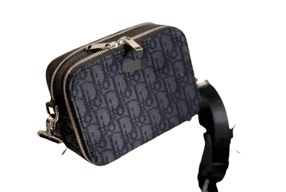Dior Bag (2 Colorways)