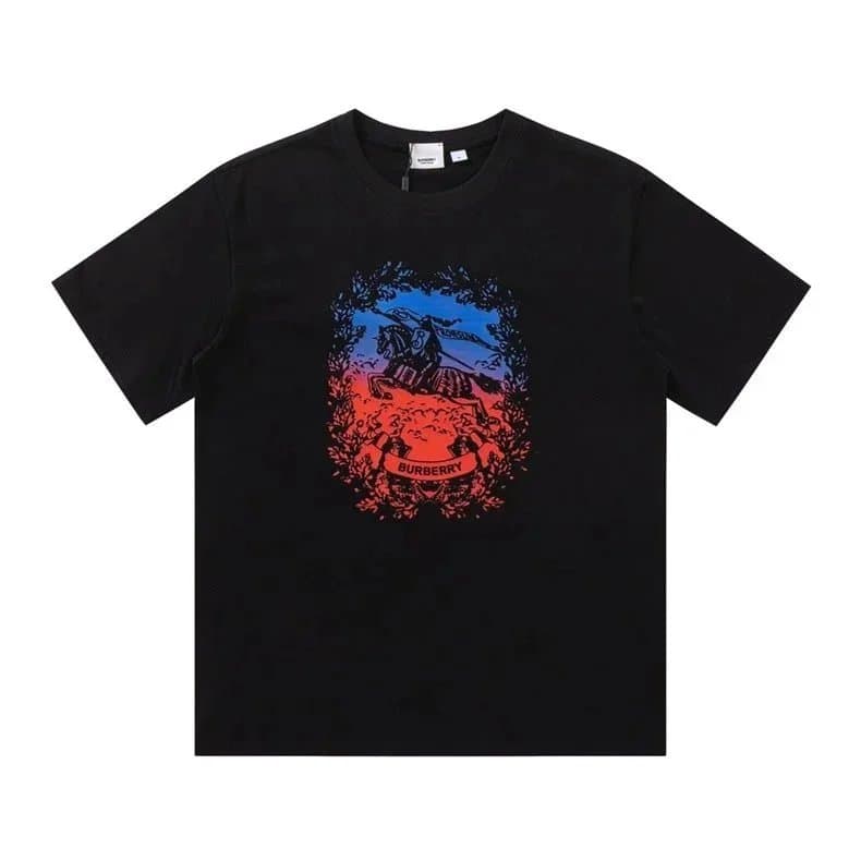 burberry t-shirt（color 40）