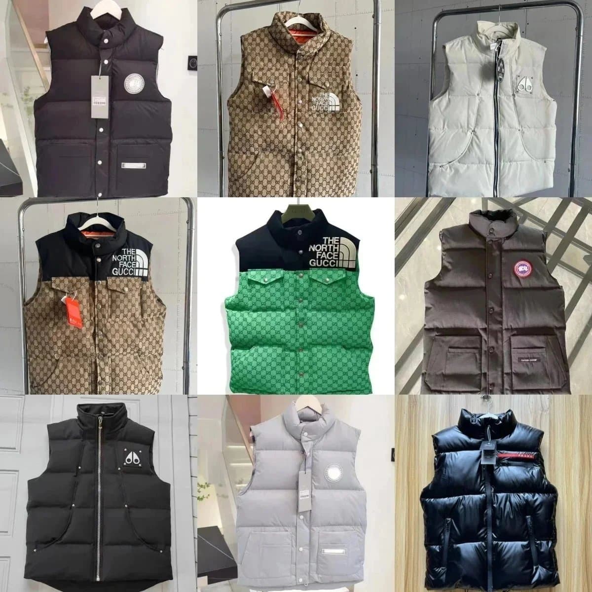 The north face down jacket vest (40 CP)