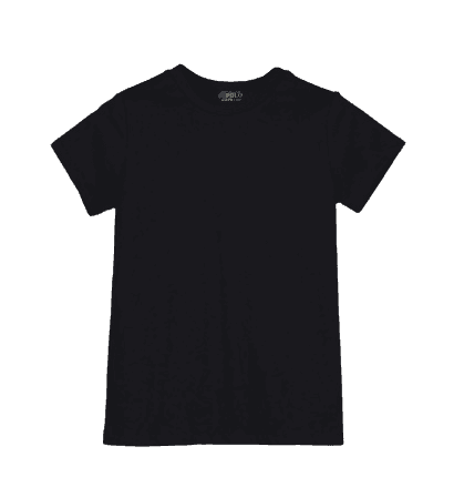 Ralph Lauren T-Shirt (10 Colorways)