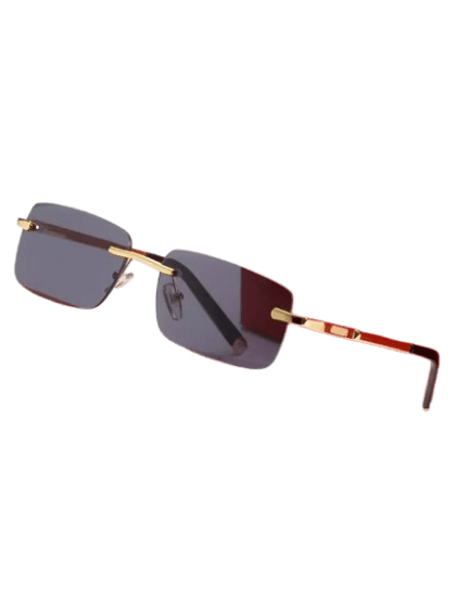 Cartier Glasses(3+ Styles)
