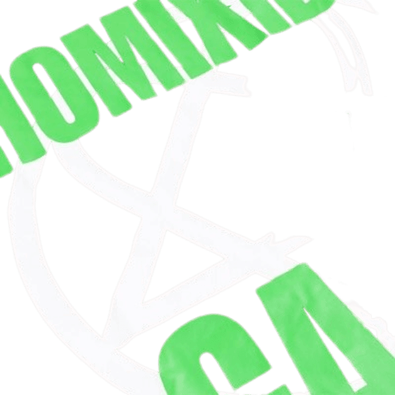 Homixide Gang Tour Merch Tee